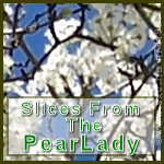 Slices From The Pear Lady